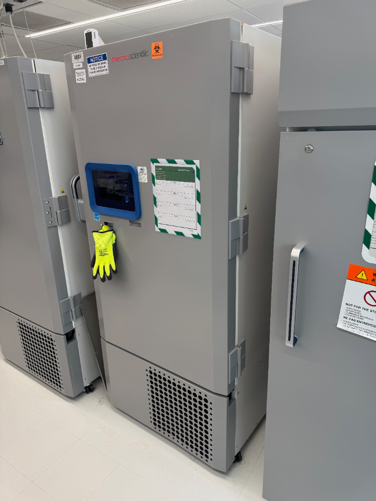 Image of Thermo TSX Series -80C Ultra Low Temp Freezer